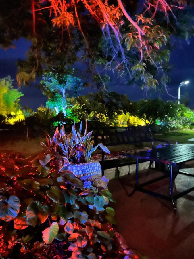 La Plumerias 莫阿尔博阿 外观 照片