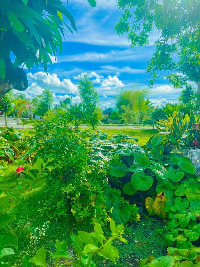 La Plumerias 莫阿尔博阿 外观 照片