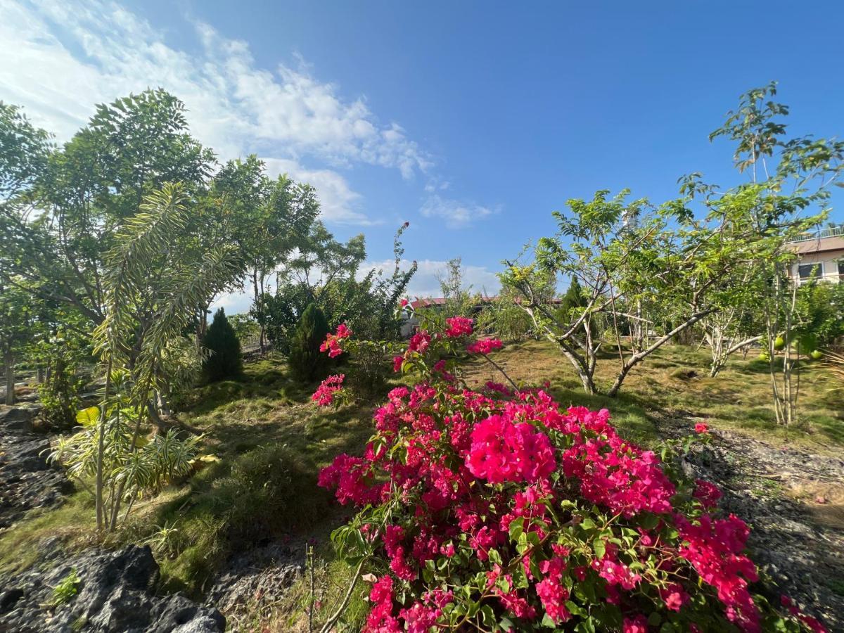 La Plumerias 莫阿尔博阿 外观 照片