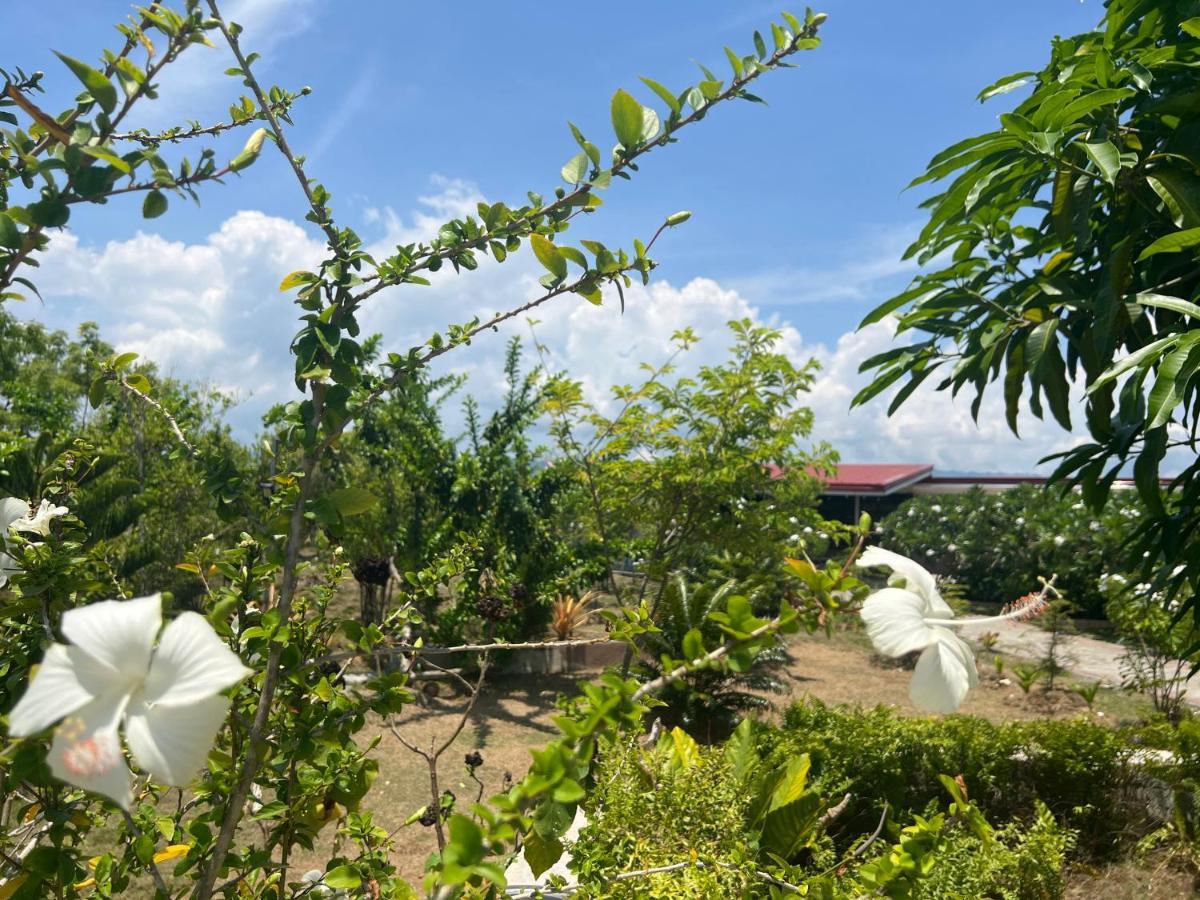 La Plumerias 莫阿尔博阿 外观 照片