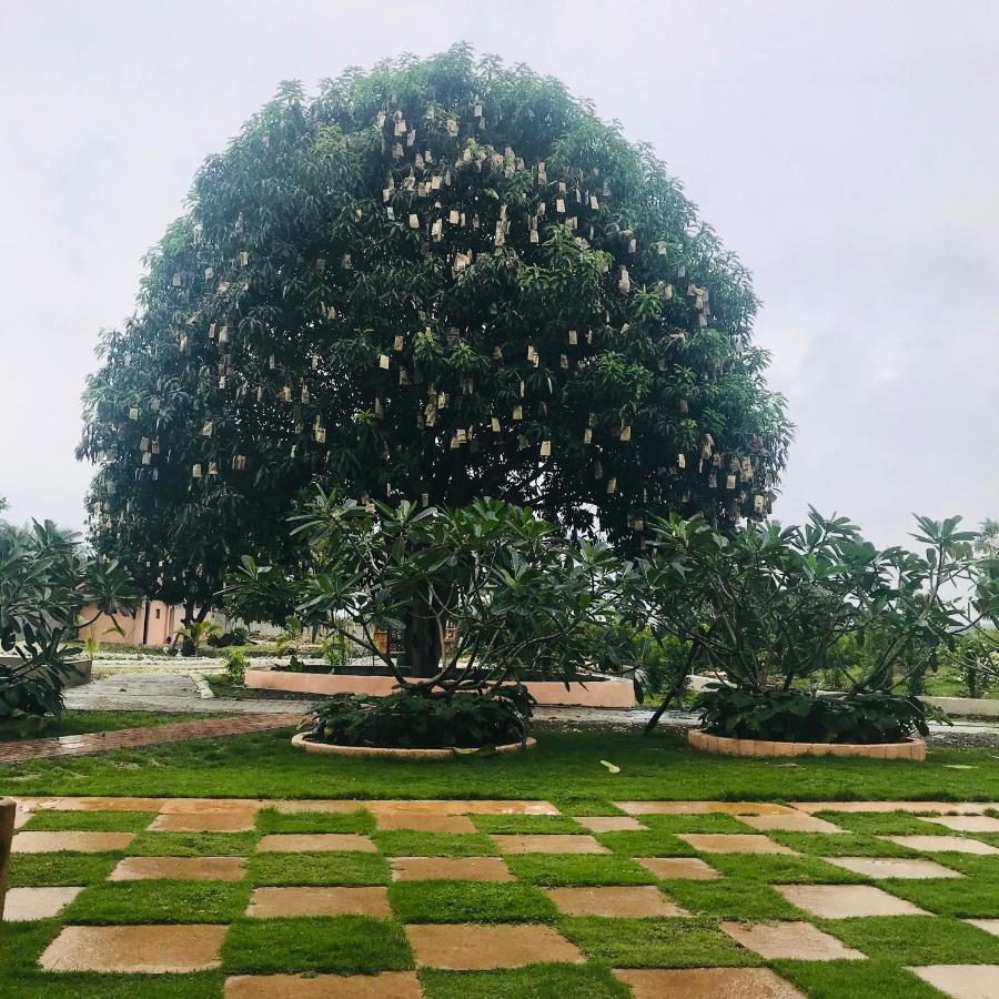 La Plumerias 莫阿尔博阿 外观 照片