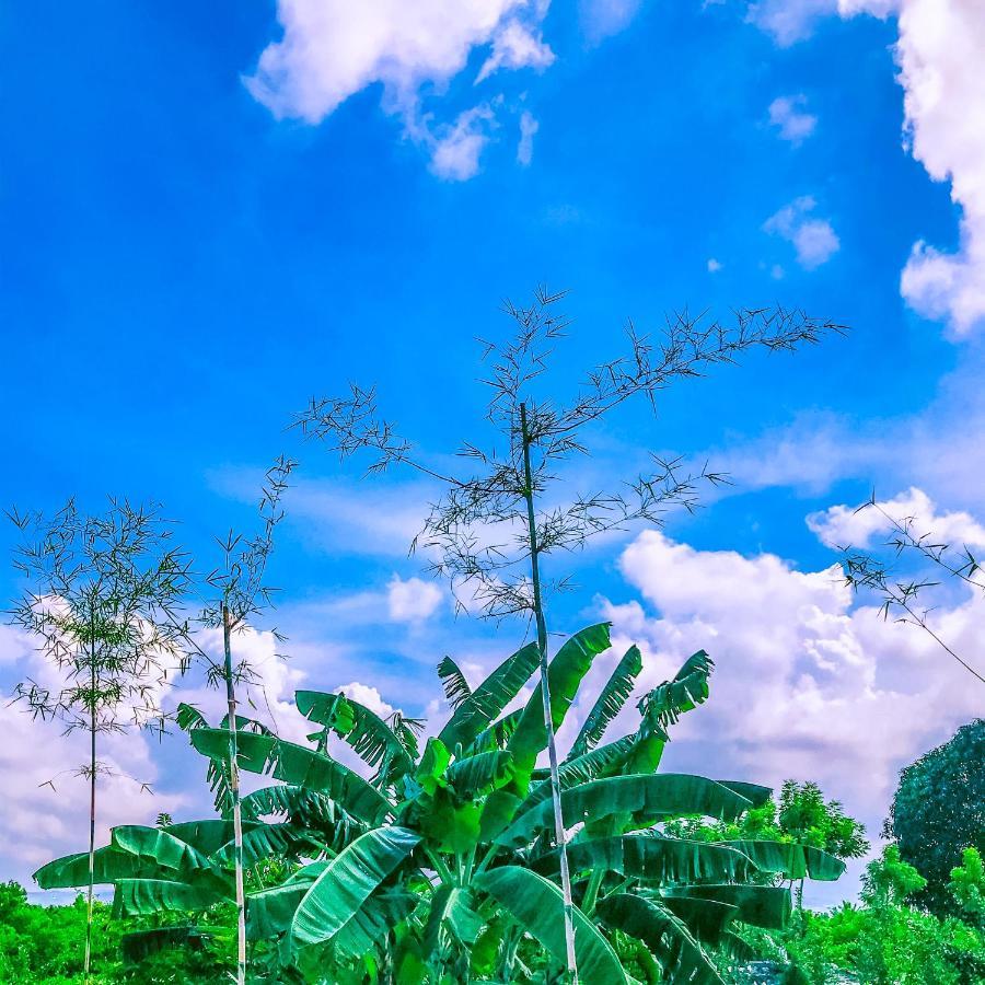 La Plumerias 莫阿尔博阿 外观 照片